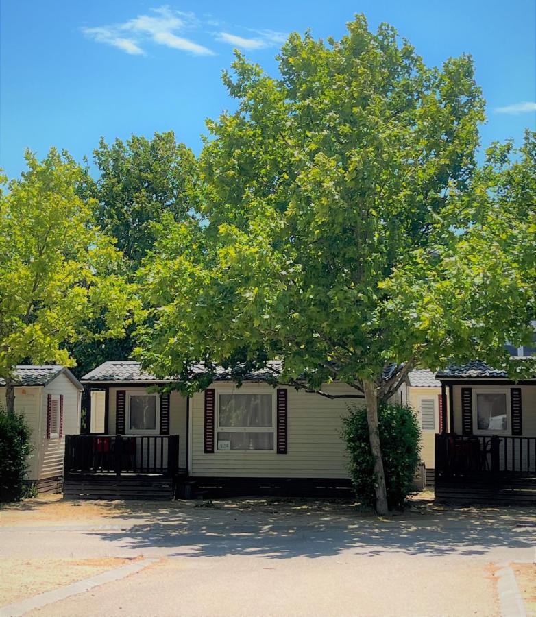 Bungalows Zaragoza Camping 외부 사진