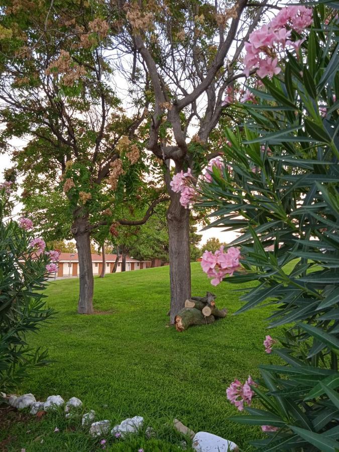 Bungalows Zaragoza Camping 외부 사진