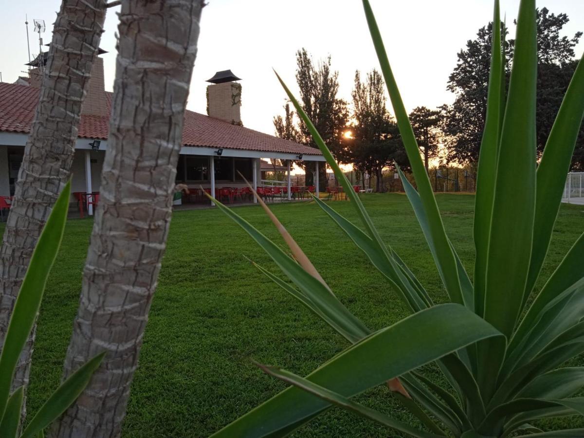Bungalows Zaragoza Camping 외부 사진