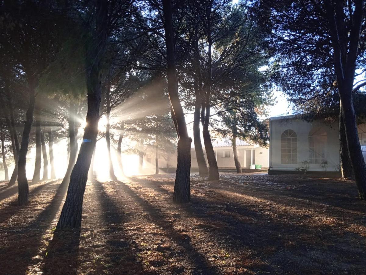 Bungalows Zaragoza Camping 외부 사진
