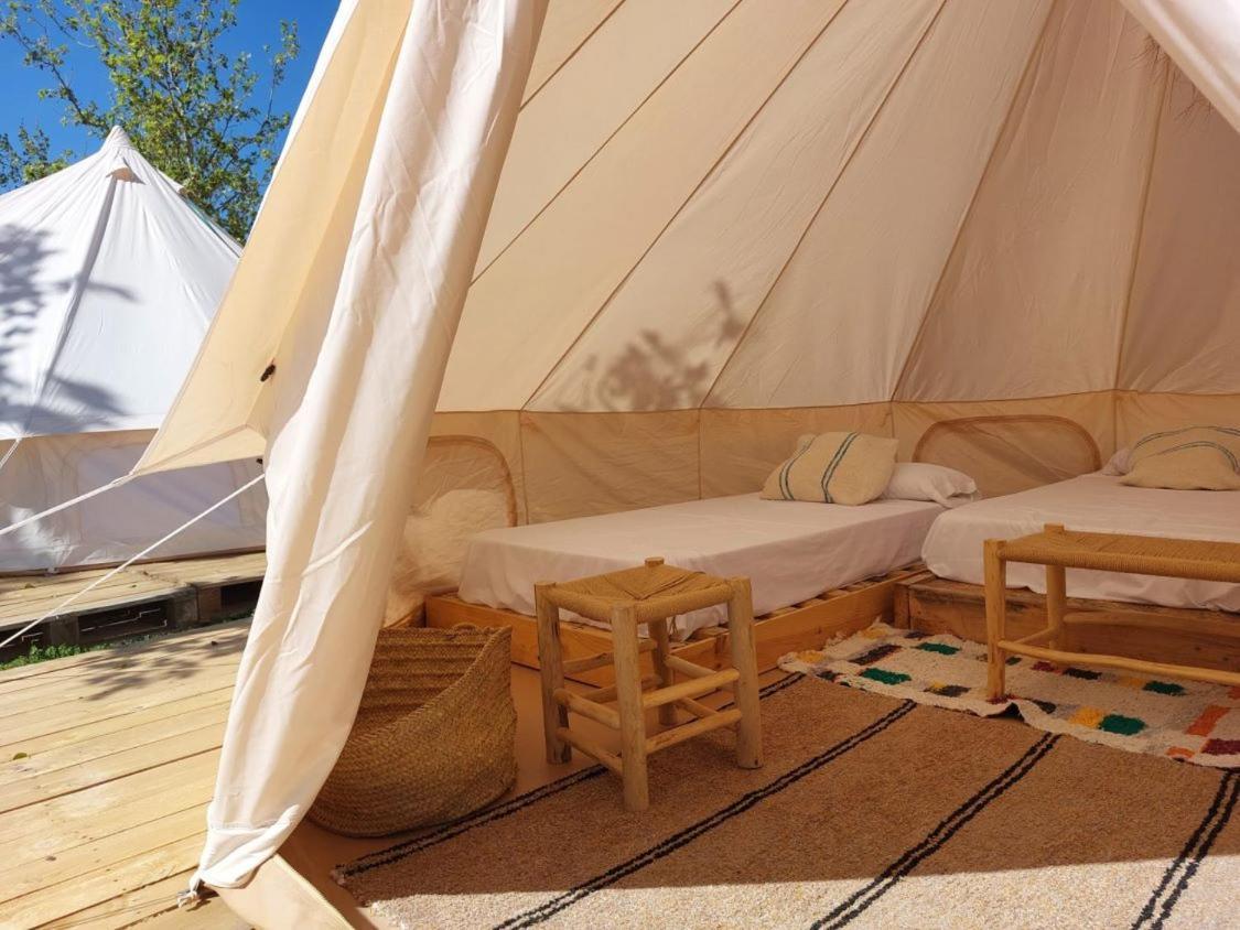 Bungalows Zaragoza Camping 외부 사진